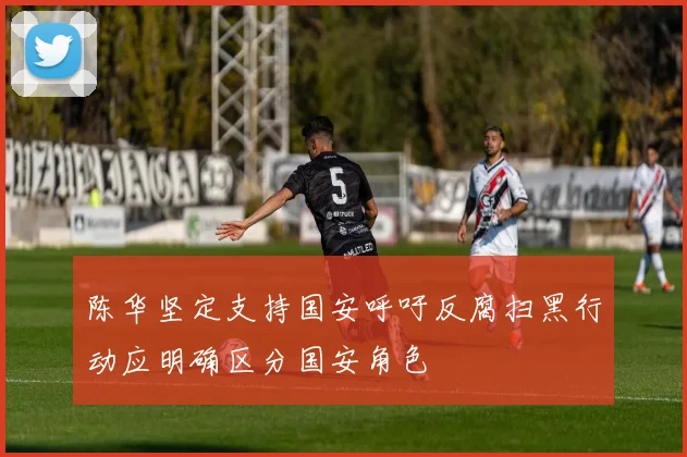 陈华坚定支持国安呼吁反腐扫黑行动应明确区分国安角色