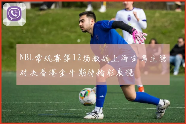 NBL常规赛第12场激战上海玄鸟主场对决香港金牛期待精彩表现