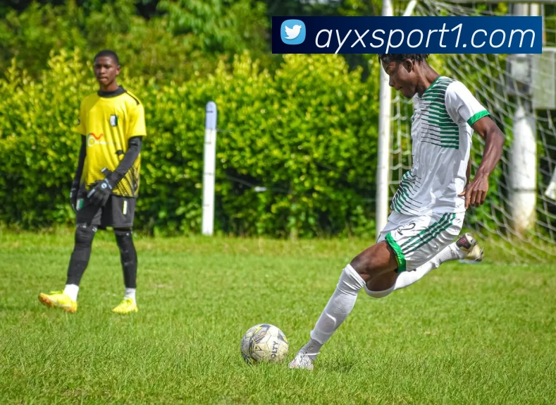 爱游戏体育发展历程