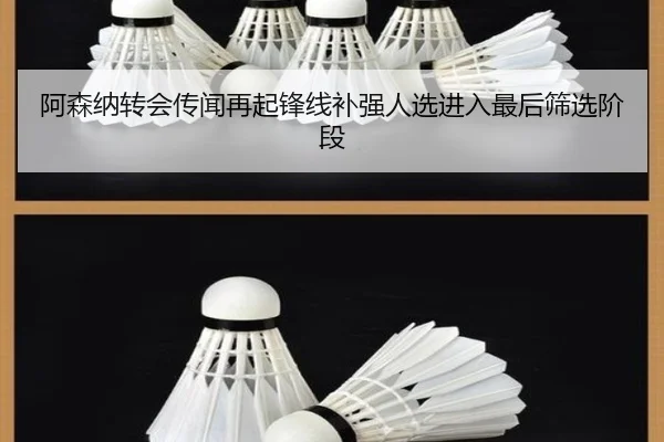 阿森纳转会传闻再起锋线补强人选进入最后筛选阶段